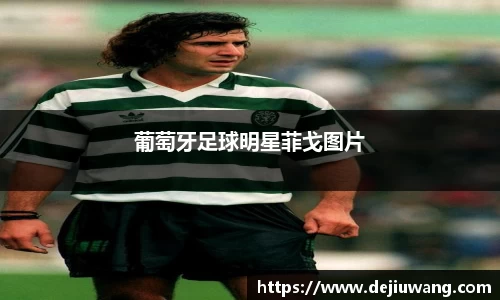 葡萄牙足球明星菲戈图片